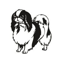 Japán csin autó matrica