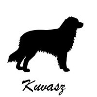 Kuvasz autó matrica