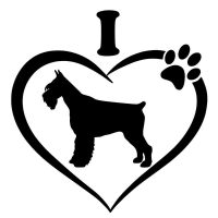 Schnauzer autó matrica