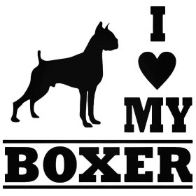 Boxer matrica