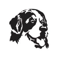 Berni pásztor autó matrica