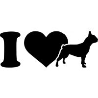 Francia bulldog autó matrica