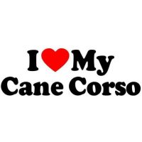 Cane corso autó matrica