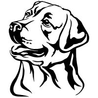 Labrador autó matrica