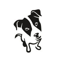 Jack russel terrier autó matrica