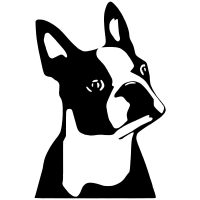 Boston terrier autó matrica
