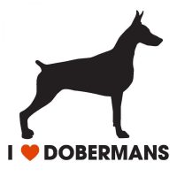Dobermann autó matrica