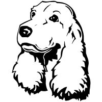 Spániel autó matrica