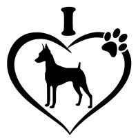 Pincser autó matrica