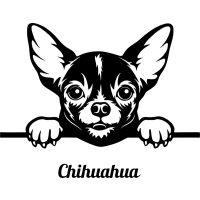 Csivava autó matrica