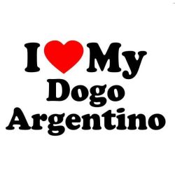 Argentin dog matrica 6