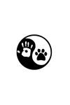 Basset hound matrica 1 Basset hound matrica 1