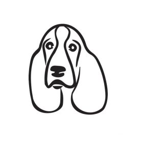 Basset hound matrica 3