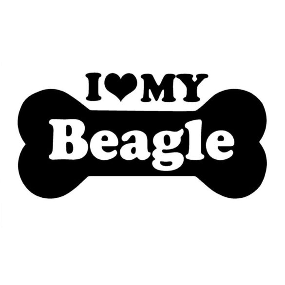 Beagle matrica 6