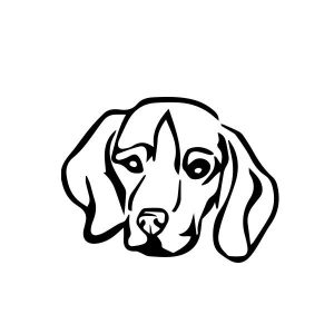Beagle matrica 10 Beagle matrica 10