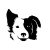 Border collie matrica 1