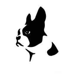 Boston terrier matrica 5