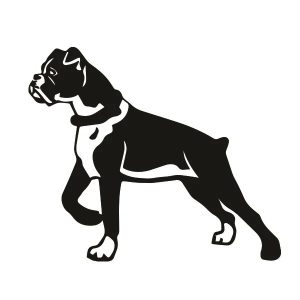 Boxer matrica 6 Boxer matrica 6