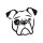 Bulldog matrica 10