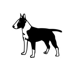 Bullterrier matrica 9