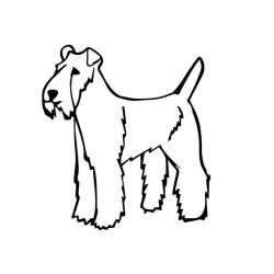 Foxterrier matrica 6