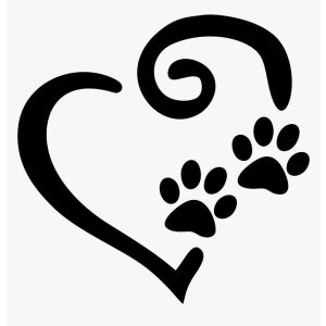 Francia bulldog matrica 10 Francia bulldog matrica 10