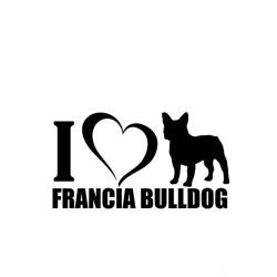 Francia bulldog matrica 16