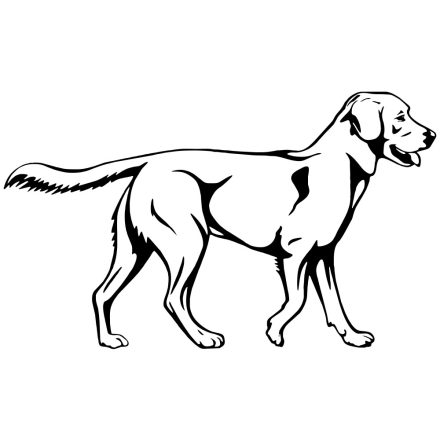 Labrador matrica 3