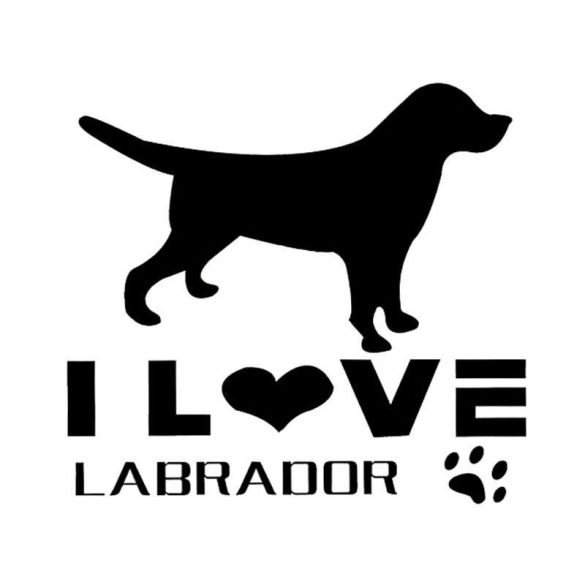 Labrador matrica 12