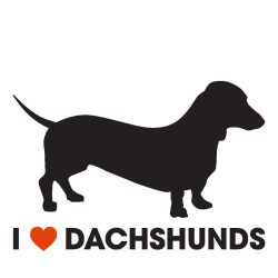 Tacskó i love daschounds matrica 