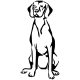 Vizsla matrica 3