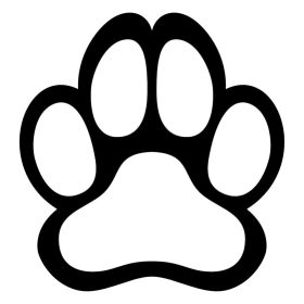 Vizsla matrica 13