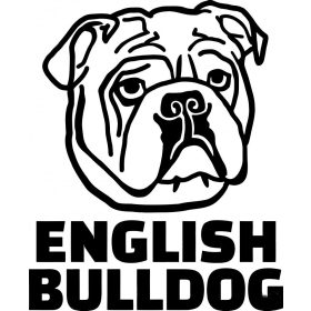 Angol bulldog matrica 4