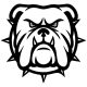Angol bulldog matrica 7