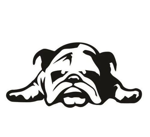 Angol bulldog matrica 12