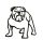 Angol bulldog matrica 13