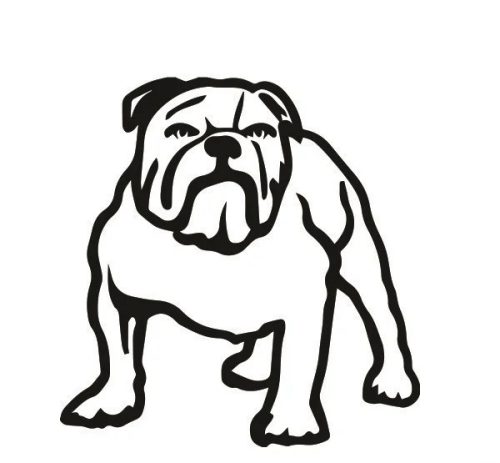 Angol bulldog matrica 13