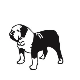 Angol bulldog matrica 14