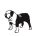 Angol bulldog matrica 14