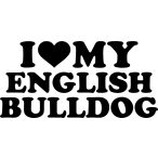 Angol bulldog matrica 21