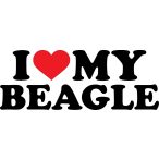 Beagle matrica 17