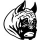 Boxer matrica 12