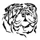 Bulldog matrica 19