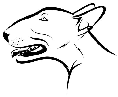 Bullterrier matrica 10