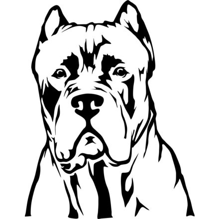 Cane corso matrica 7