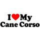Cane corso matrica 8
