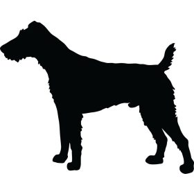Foxterrier matrica 8