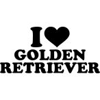 Golden retriever matrica 8