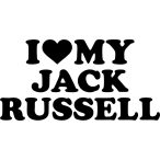 Jack Russel terrier matrica 8
