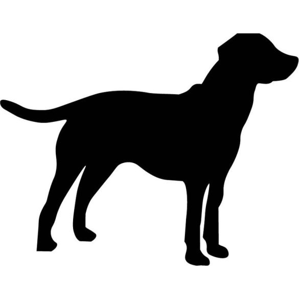 Labrador matrica 18